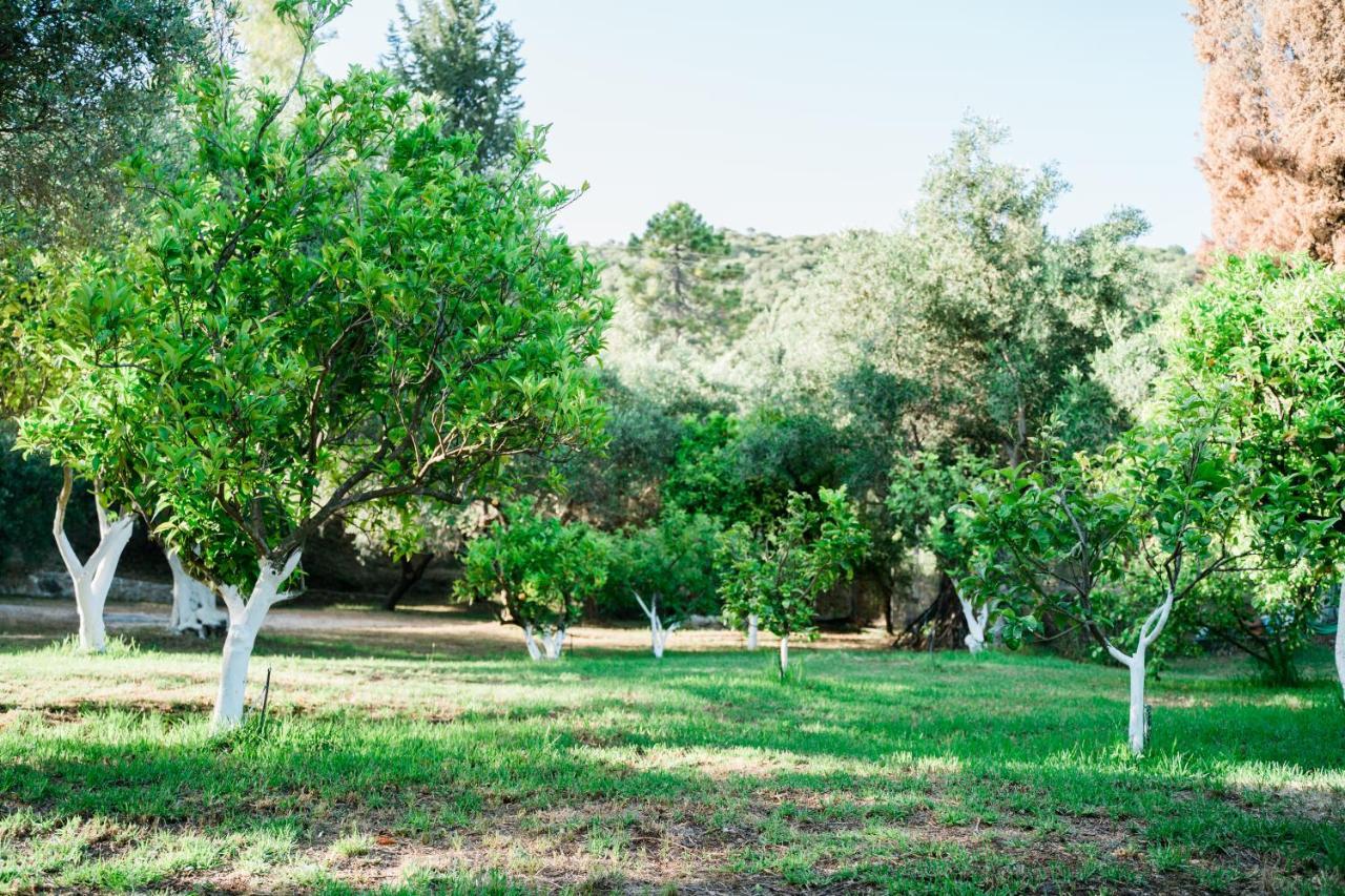 Villa Kallithea Parga Eksteriør bilde
