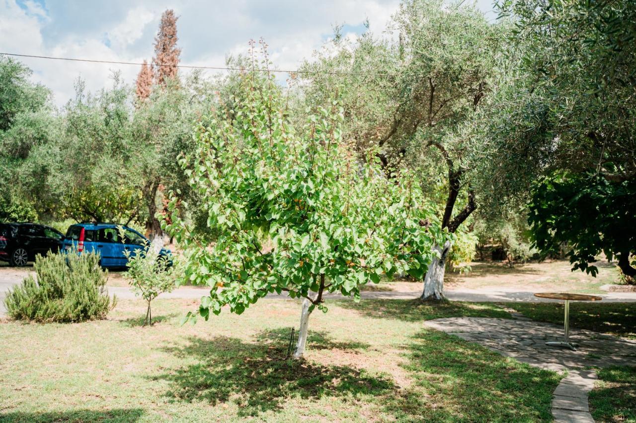 Villa Kallithea Parga Eksteriør bilde